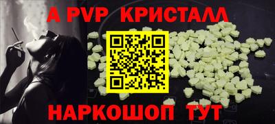 ГАЛЛЮЦИНОГЕННЫЕ ГРИБЫ Кингисепп