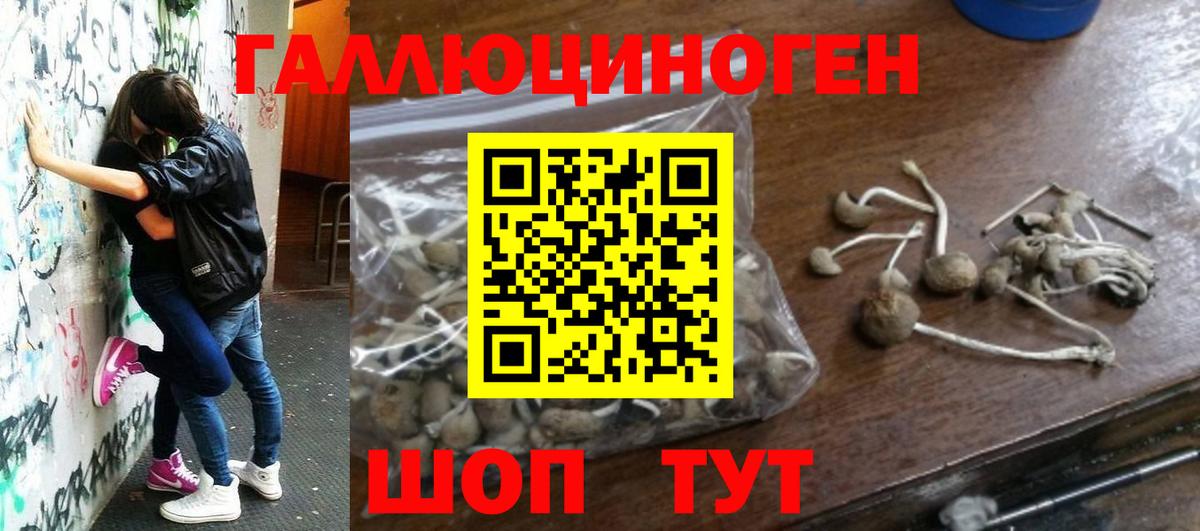 Псилоцибиновые грибы мицелий Кыштым